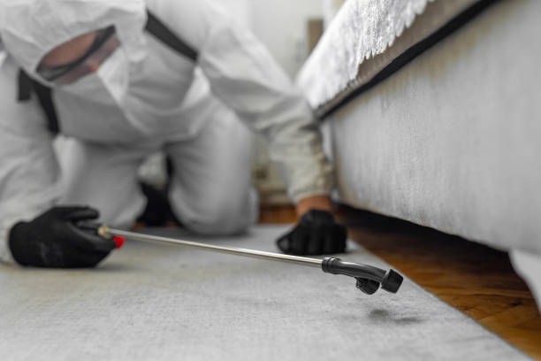 Professional Ant Control technician working in White Knoll, SC