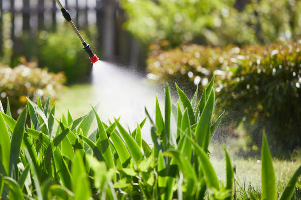 24/7 Emergency Ant Control experts in White Knoll, SC